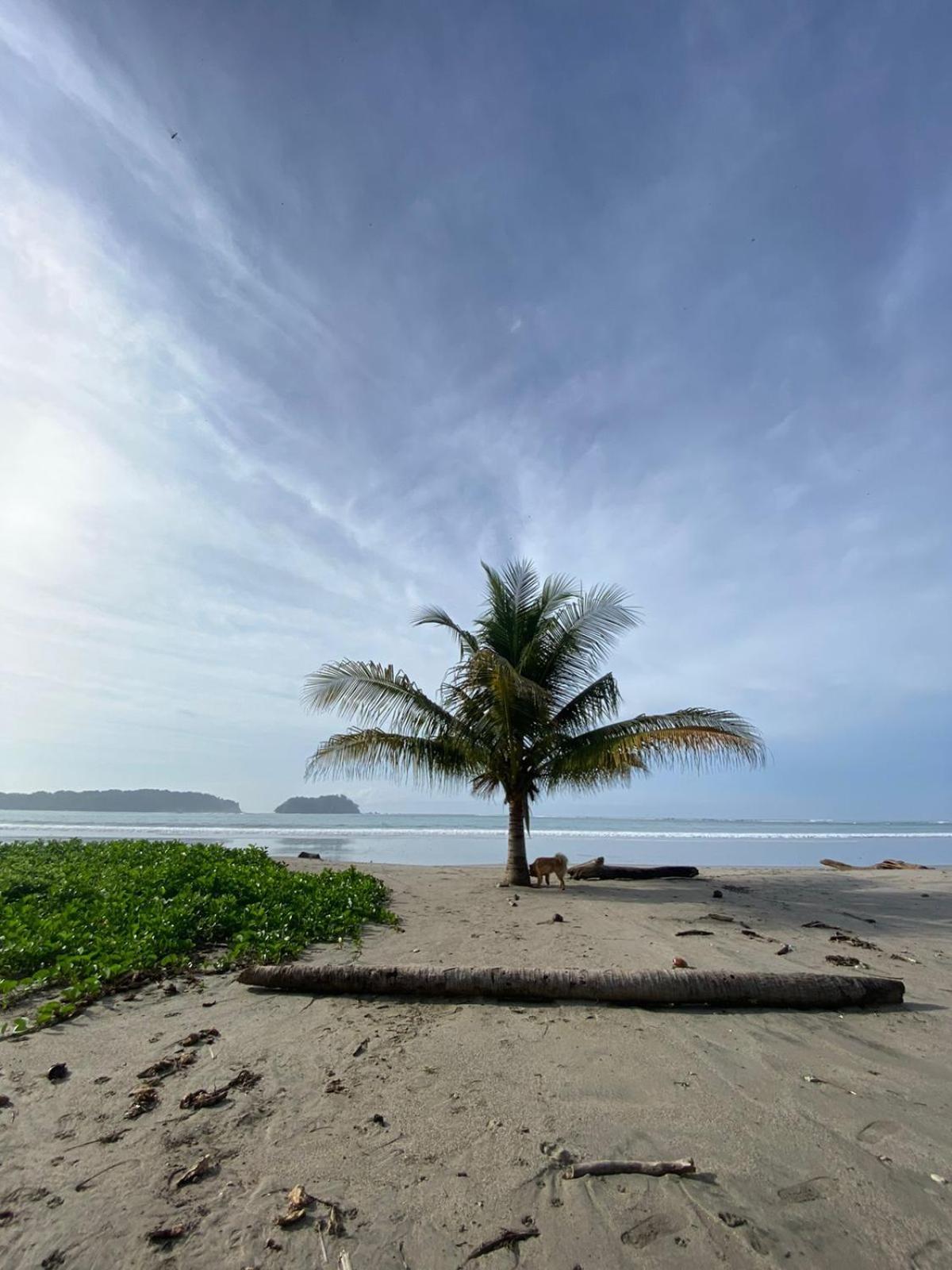 شقة Surf House Sámara المظهر الخارجي الصورة